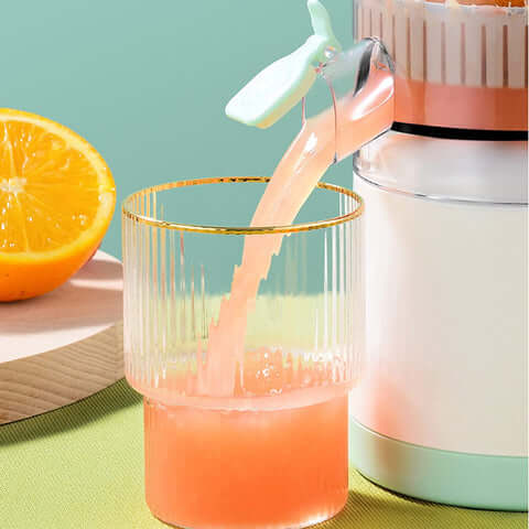 Wireless Multifunctional Citrus Juicer